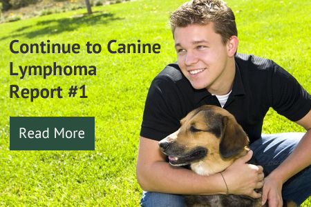 Continue to Canine Lymphoma Report #1
