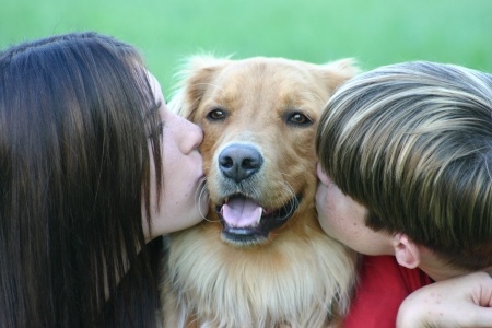 Canine Lymphoma Stages