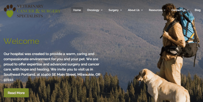 veterinary cancer surgery specialists