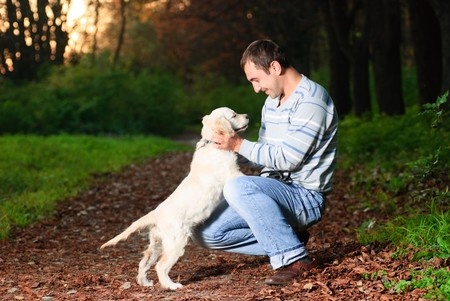 Canine Lymphoma Diagnostic Process